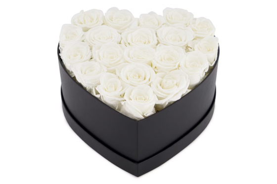 Flowerbox blanc - 20 roses éternelles 3 