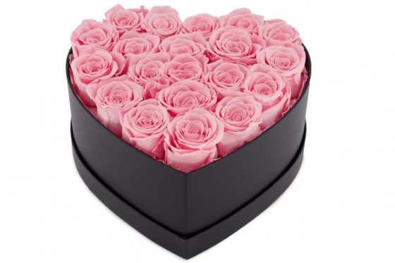 Rosenbox rosa - 20 ewig blühende Rosen  