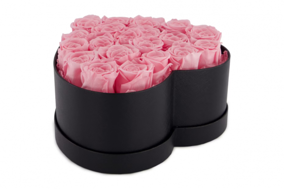 Rosenbox rosa - 20 ewig blühende Rosen 1 