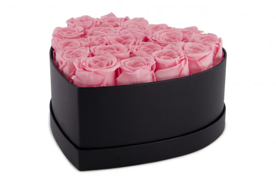 Rosenbox rosa - 20 ewig blühende Rosen 3 