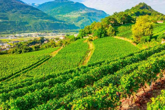 Überraschungstag in der Schweiz - mit personalisiertem Reiseplan und Begleitguide für 2 Personen 3 