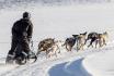 Balade en chiens de traîneau - immersion nordique au cœur de l’hiver 