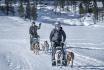 Balade en chiens de traîneau - immersion nordique au cœur de l’hiver 2