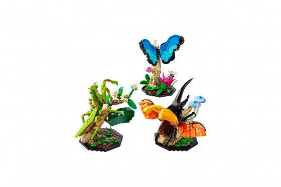 LEGO Ideas 21342 - La Collection d’Insectes 1 