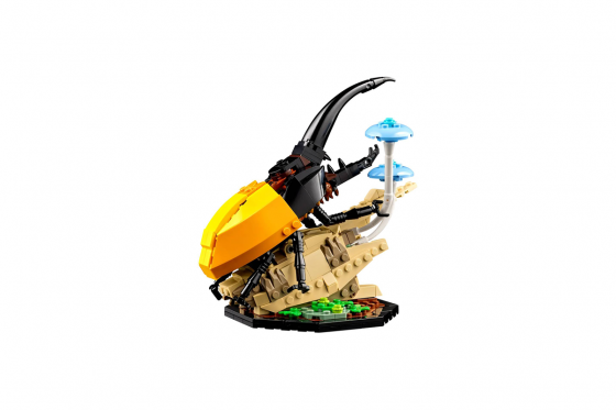 LEGO Ideas 21342 - La Collection d’Insectes 4 