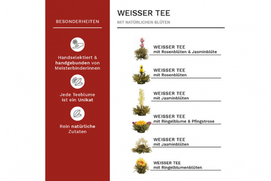 Coffret cadeau Creano ErblühTee - mélange avec théière et thé 1 