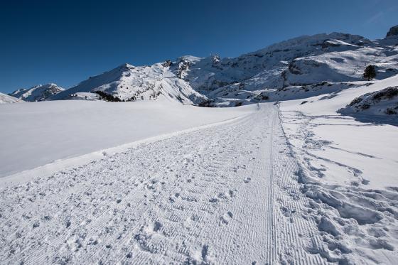 Snowmobile & Fondue für 2 - 30min Schneeaction auf dem Titlis in Engelberg 5 