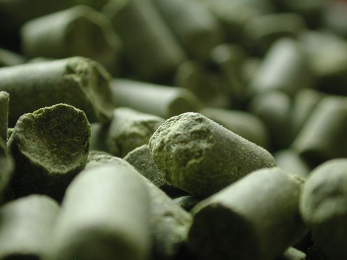 Bierbraukurs 1 Zürich für 2 - Bier selber brauen für Einsteiger 3 