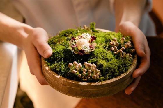 Sterne-Restaurant-Dinner für 2 - 6-Gang-Menü im Restaurant Soleil d'Or by David Geisser 4 