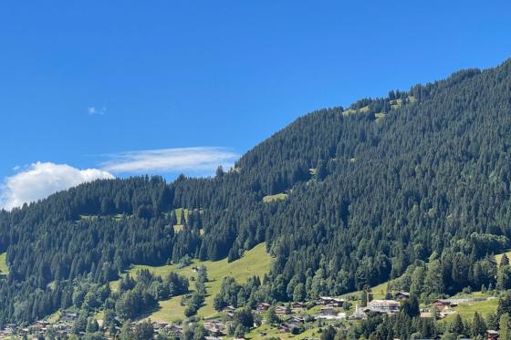 Séjour bien-être à Villars - Hôtel 4* avec petit déjeuner & cocktail pour 2 personnes 7 