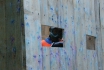 Paintball - en France voisine 1
