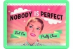 Nobody Is Perfect - Kleines Blechschild 