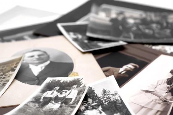 DNA Herkunftsanalyse - Entdecken Sie Ihre Familiengeschichte | beide Linien 2 