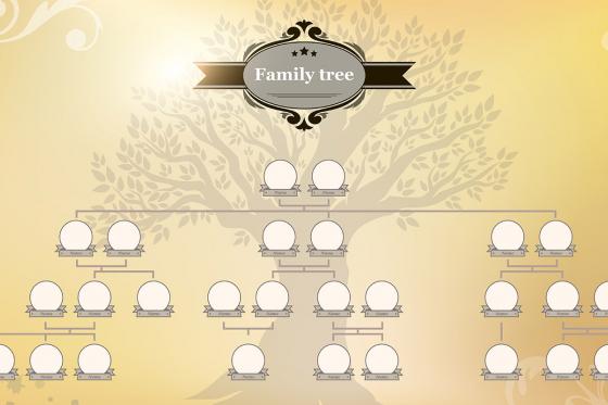 DNA Herkunftsanalyse - Entdecken Sie Ihre Familiengeschichte | beide Linien 3 