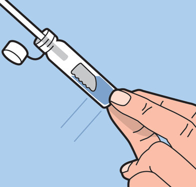 DNA Herkunftsanalyse - Entdecken Sie Ihre Familiengeschichte | beide Linien 6 