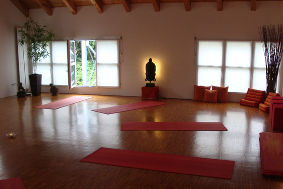 Yoga-Privatlektion  - mit Horoskopdeutung 1 