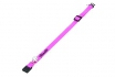 Halsband Katze - Personalisierbar 1