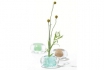 Mini Vase Braun - Für gepflückte Blumen 