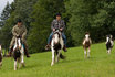 Passeggiata a cavallo - per uomo 