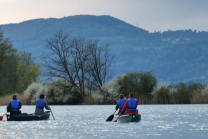 Kanu-Tour Aare - ganzer Tag