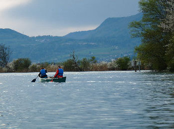 Tour en canoë sur l'Aar - Journée entière 3 