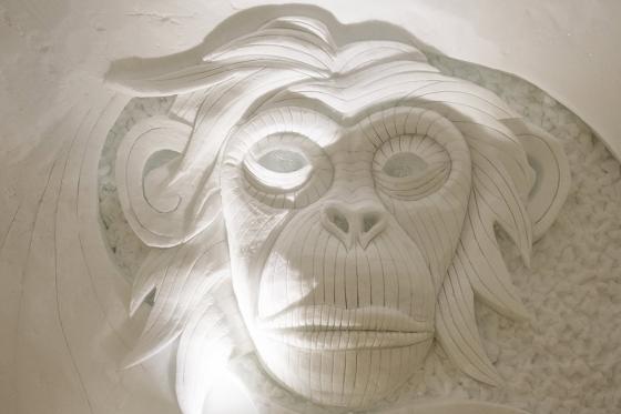 Nuit en igloo en famille - Incl. tour en raquettes et fondue 10 