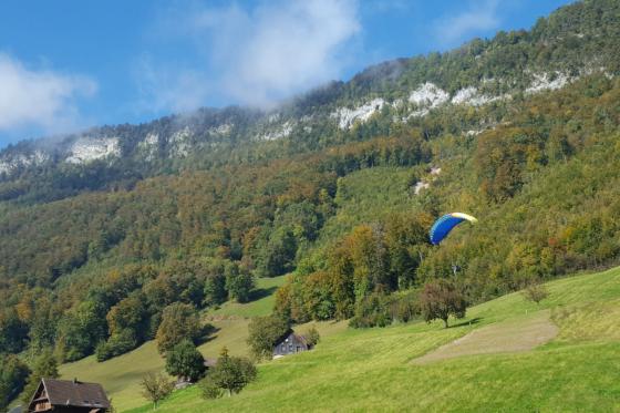 Schnupperkurs Gleitschirmfliegen - 1 Tag am Vierwaldstättersee 3 
