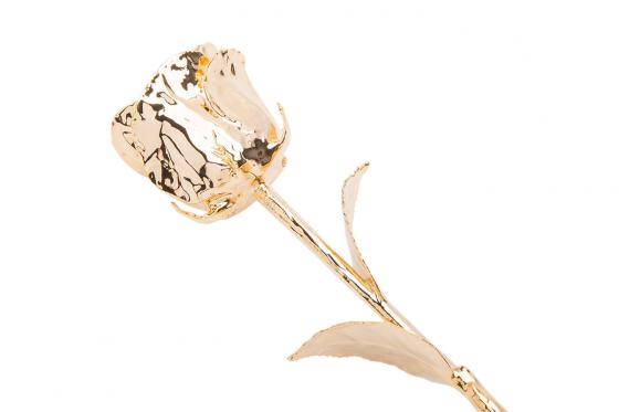 Rose en or (17 cm) - Avec coffret en cuir 3 