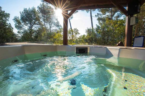 Bubble-Suite - 2 Nächte für 2 Personen inkl. Whirlpool 1 