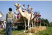 Cavalcata sul cammello - Per bambini 3