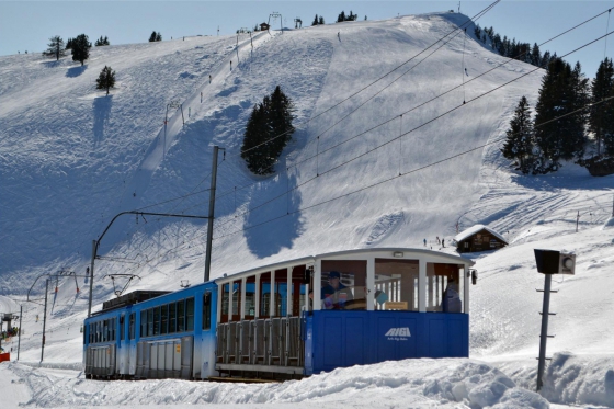 Wunderbarer Tag auf der Rigi - inkl. Schneeschuh-Tour, Fondue & Spa 2 