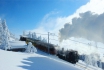 Winter-Dampffahrt auf die Rigi - Nostalgische Bergbahnfahrt ab Vitznau  (Personen ohne Halbtax-Abo) 1