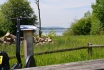 2 Stunden Segway mieten - am Greifensee 