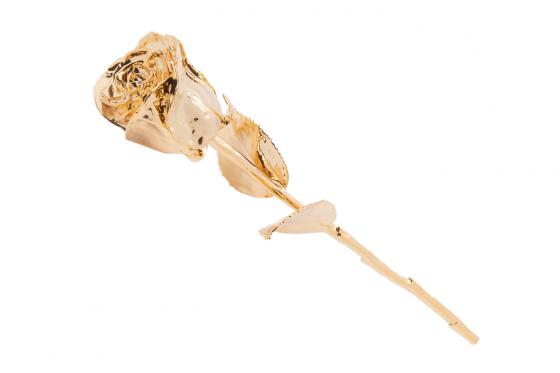 Goldrose - 28cm - mit Gravur - in edler Lederbox 4 