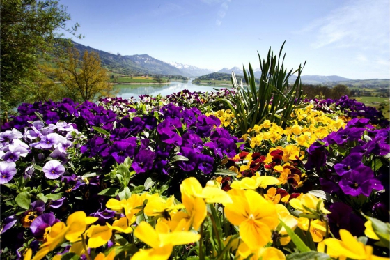 Séjour détente pour deux - Au bord du Lac de la Gruyère 3  Séjour détente pour deux - Au bord du Lac de la Gruyère 3