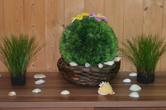 Massage sportif - 60 minutes de massage pour les sportifs 3 