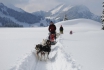 Huskyfahrt und Schneeschuhe - Trapperfeeling mit Schlittenhunden 