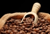 Kaffee Kultur Seminar - Lernen Sie alles über Kaffee 