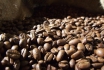 Kaffee Kultur Seminar - Lernen Sie alles über Kaffee 2