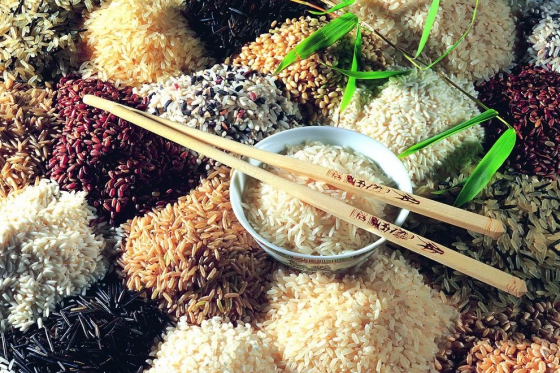 5 Elemente Ernährungs-Seminar - nach TCM  