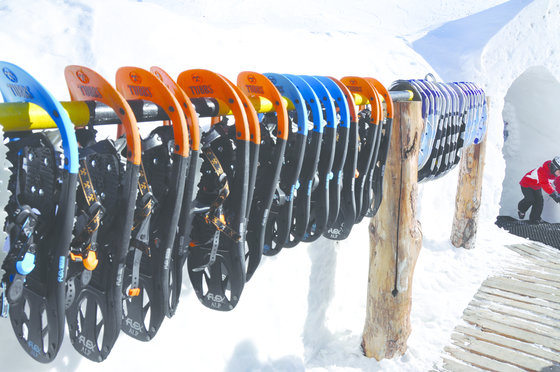 Pernottamento in iglù - con fonduta 5 