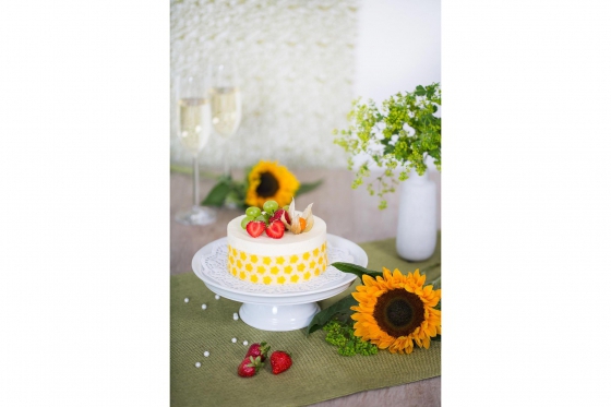 Tortenkurs Grundkurs 8h - in Zürich inkl. Mittagessen 6 