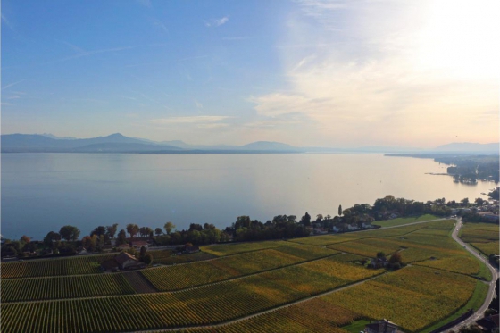 Lausanne Ballonfahrt - 1h Fahrt für 1 Person 7 