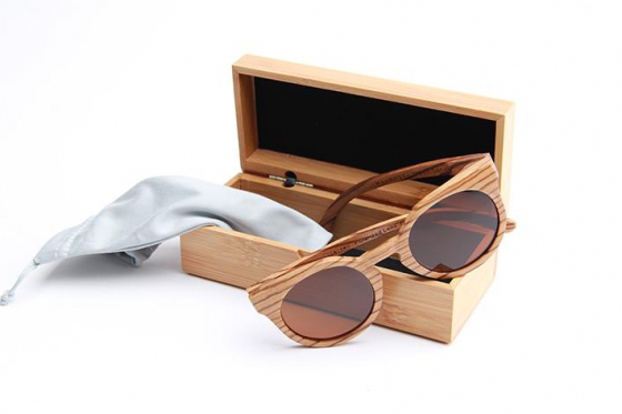 The Safari - Zebra 1 