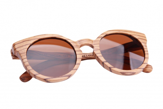 The Safari - Zebra 3 