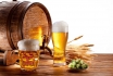 Bierbrauseminar Anfänger - Halbtageskurs 1