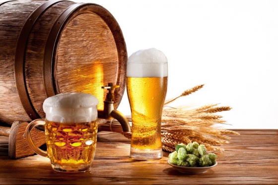 Bierbrauseminar Anfänger - Halbtageskurs 1 