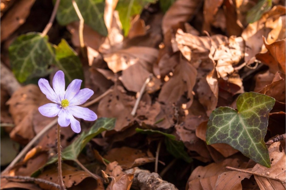 Titel - Untertitel 2 