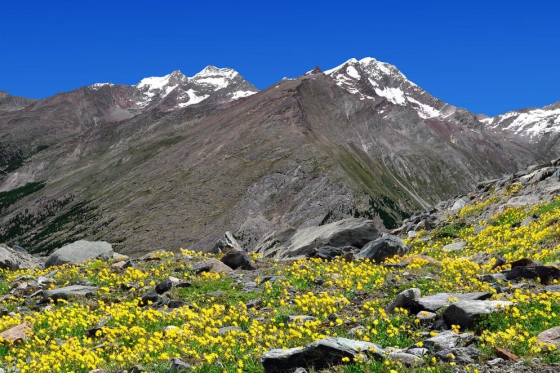 Weissmies Bergtour - Mein erster 4000er 4 