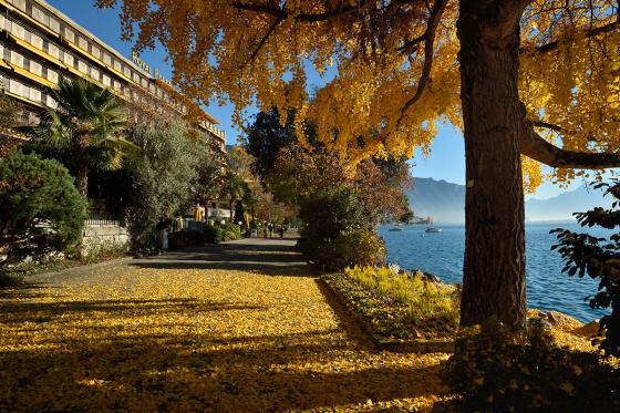 Montreux Übernachtung - mit Blick auf den Genfersee + Zugang zum Spa 11 